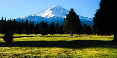 Siskiyou county Real Estate for Sale. McCloud homes for Sale. Homes for sale in McCloud, CA.